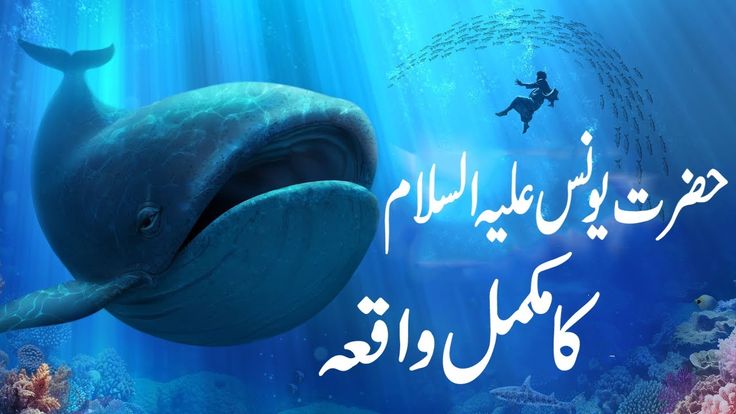 سمندر میں تیرتی ہوئی وہیل مچھلی – حضرت یونس علیہ السلام کے واقعے کی نمائندہ تصویر