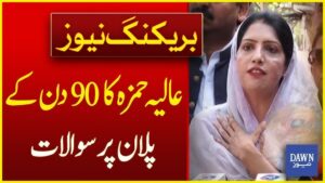 Read more about the article “قربانیوں کی علامت: علیا حمزہ – جب وفا جرم ٹھہری”